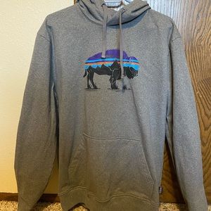 Patagonia Sweatshirt